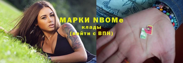 крисы Верхний Тагил
