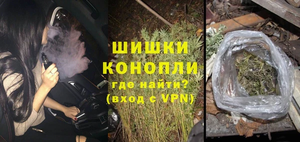 крисы Верхний Тагил