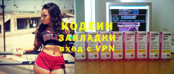 крисы Верхний Тагил