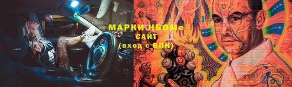крисы Верхний Тагил