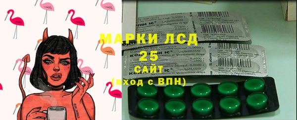 крисы Верхний Тагил