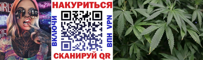 Купить где  Починок  Шишки марихуана сатива 